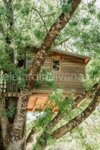 Cabane Perchée avec Jacuzzi, au Coeur du Luberon à Oppède